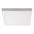 LED Stropní svítidlo LED/6W/230V 4000K 12x12 cm bílá