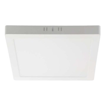 LED Stropní svítidlo LED/6W/230V 4000K 12x12 cm bílá
