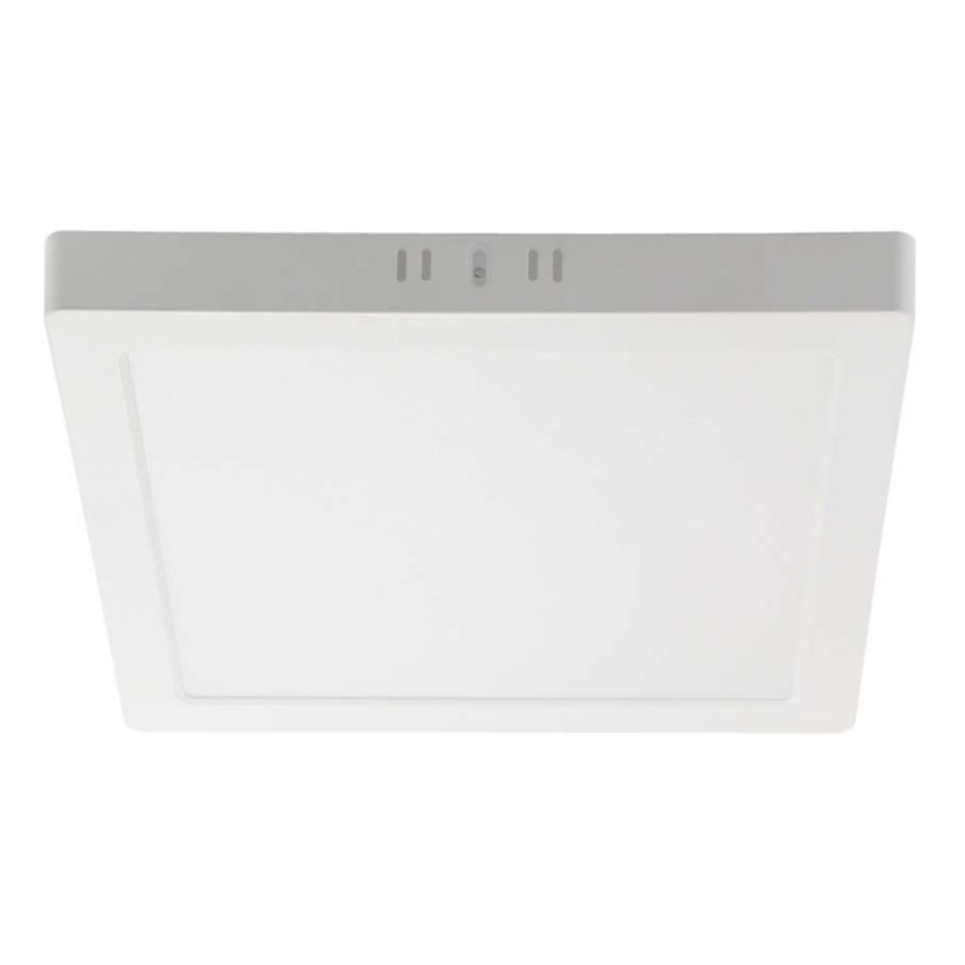 LED Stropní svítidlo LED/6W/230V 4000K 12x12 cm bílá
