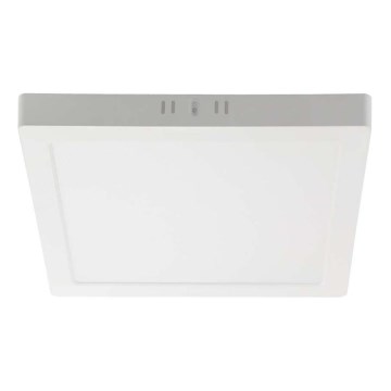 LED Stropní svítidlo LED/6W/230V 6500K 12x12 cm bílá