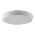 LED Stropní svítidlo LED/6W/230V 6500K pr. 12 cm bílá