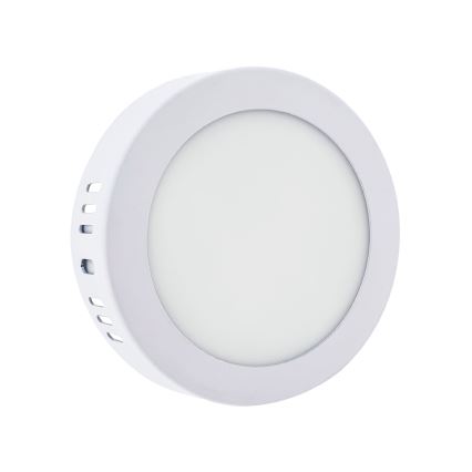 LED Stropní svítidlo LED/6W/230V