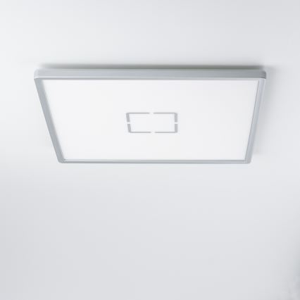 LED Stropní svítidlo LENNA LED/22W/230V 4000K