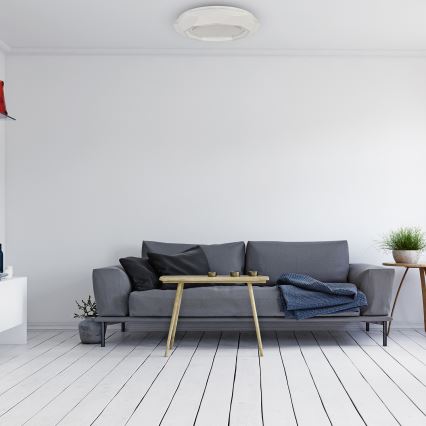 LED Stropní svítidlo LULU LED/40W/230V