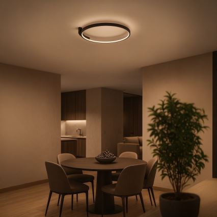 LED Stropní svítidlo LUNA LED/18W/230V pr. 42,5 cm černá