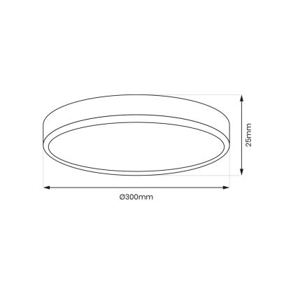 LED Stropní svítidlo MAQ LED/24W/230V 3000/4000/6500K IP40 černá