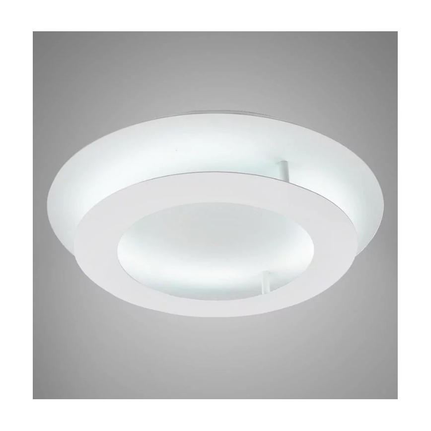 LED Stropní svítidlo MERLE LED/18W/230V