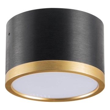 LED Stropní svítidlo MIRELLA 1xGX53/6W/230V černá/zlatá