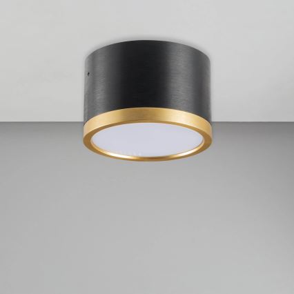 LED Stropní svítidlo MIRELLA 1xGX53/6W/230V černá/zlatá