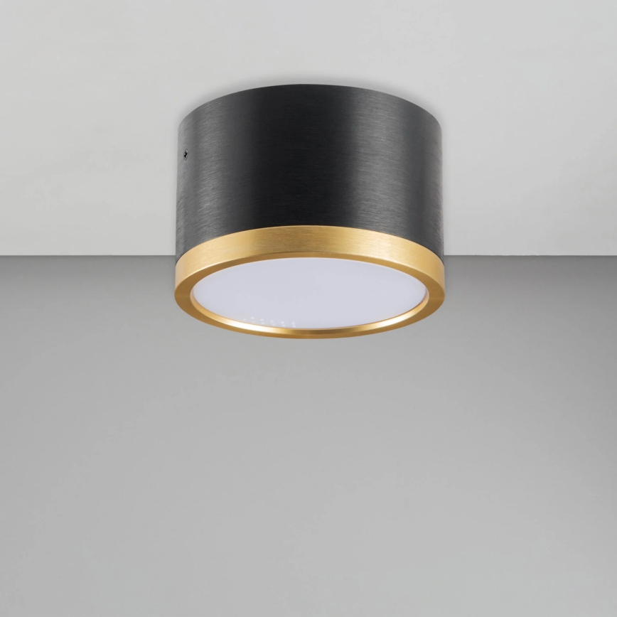 LED Stropní svítidlo MIRELLA 1xGX53/6W/230V černá/zlatá