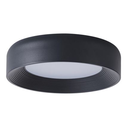 LED Stropní svítidlo MOONLIGHT LED/30W/230V 3000K černá pr. 40 cm