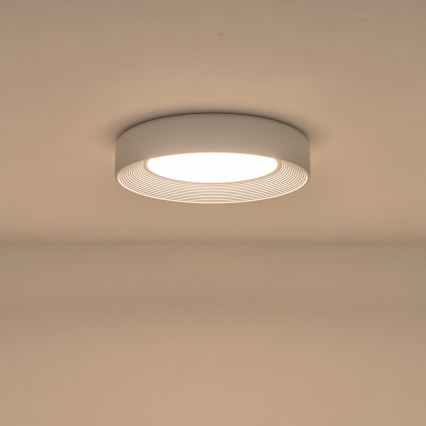 LED Stropní svítidlo MOONLIGHT LED/40W/230V 3000K bílá pr. 50 cm