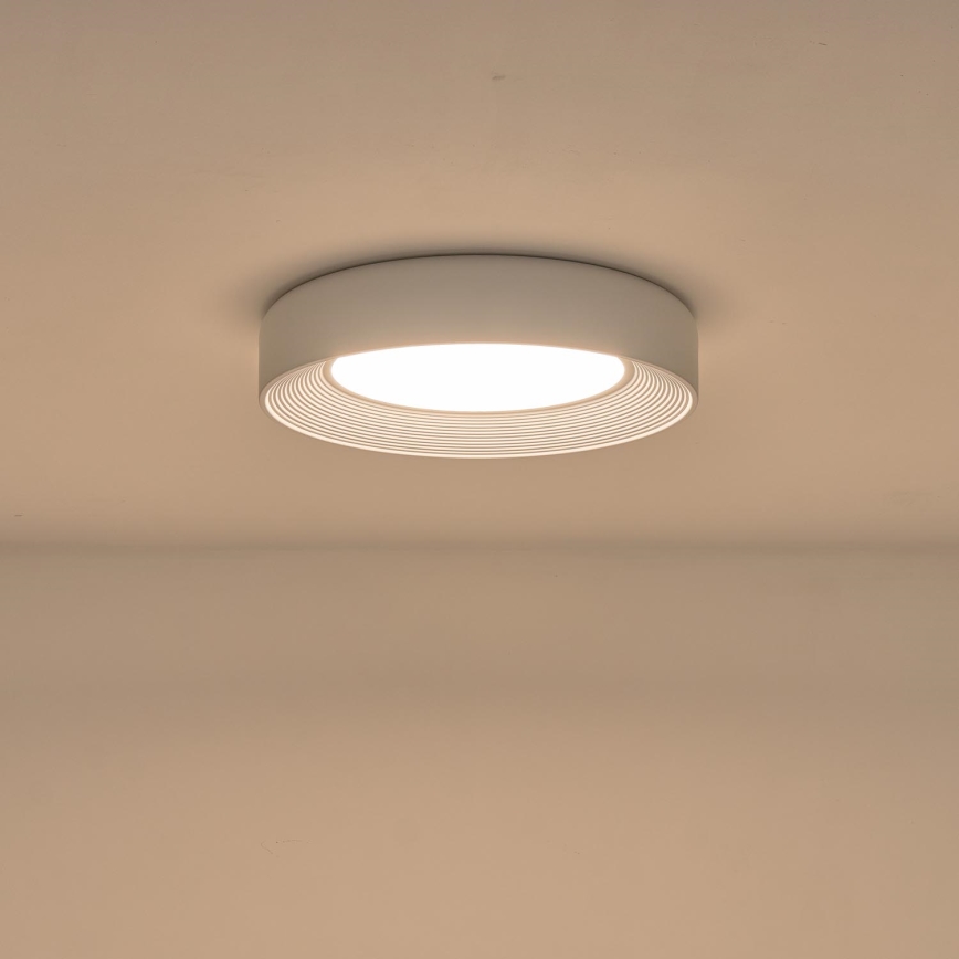 LED Stropní svítidlo MOONLIGHT LED/40W/230V 3000K bílá pr. 50 cm