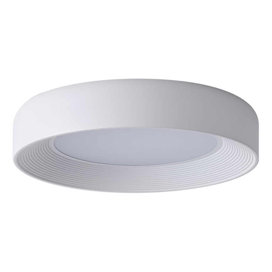 LED Stropní svítidlo MOONLIGHT LED/40W/230V 3000K bílá pr. 50 cm