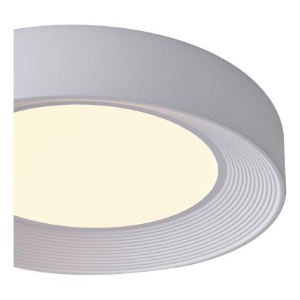LED Stropní svítidlo MOONLIGHT LED/40W/230V 3000K bílá pr. 50 cm