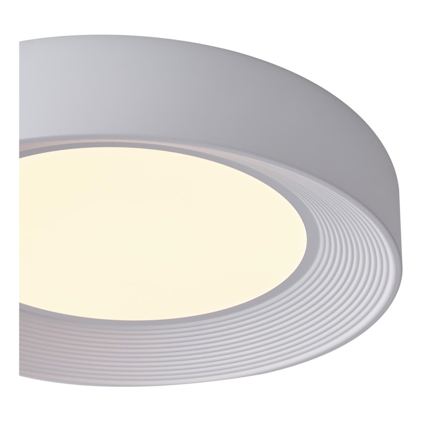 LED Stropní svítidlo MOONLIGHT LED/40W/230V 3000K bílá pr. 50 cm