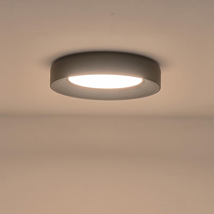 LED Stropní svítidlo MOONLIGHT LED/40W/230V 3000K černá pr. 50 cm
