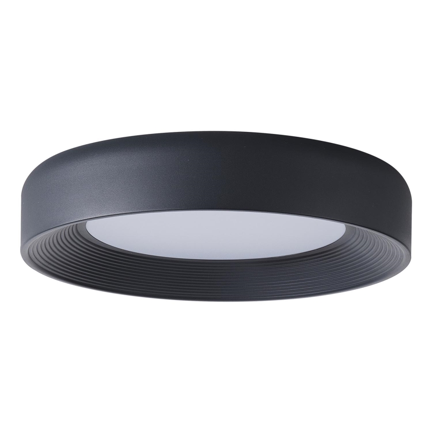 LED Stropní svítidlo MOONLIGHT LED/40W/230V 3000K černá pr. 50 cm