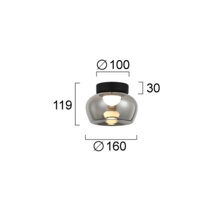 LED Stropní svítidlo NADIA LED/9W/230V pr. 16 cm kouřová/černá