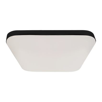 LED Stropní svítidlo NEMO LED/11W/230V 26x26 cm černá