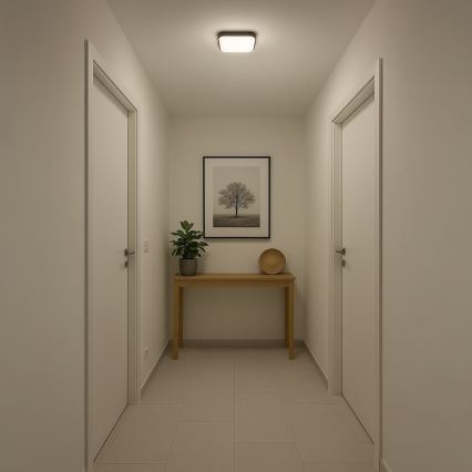 LED Stropní svítidlo NEMO LED/11W/230V 26x26 cm černá