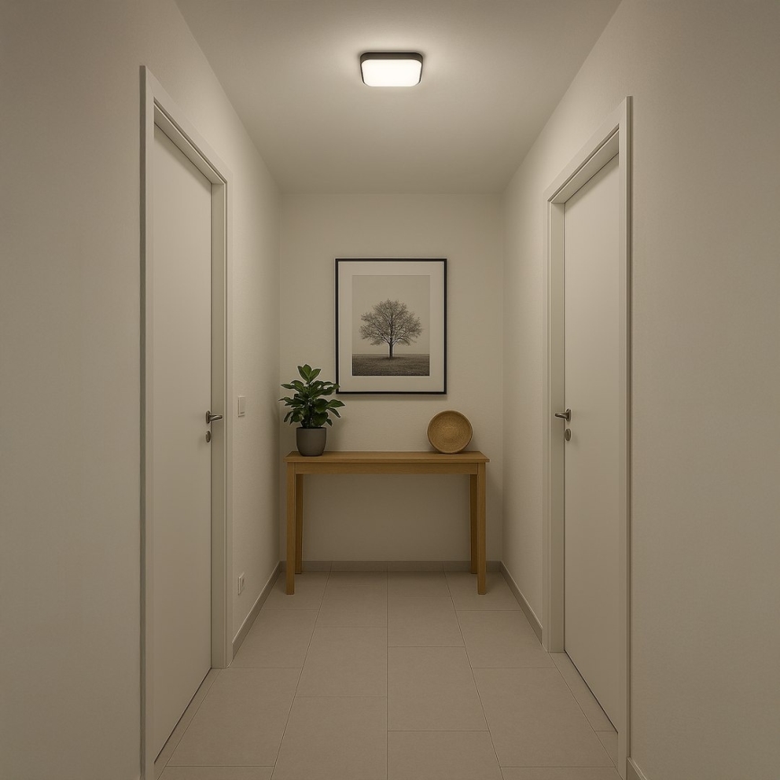 LED Stropní svítidlo NEMO LED/11W/230V 26x26 cm černá