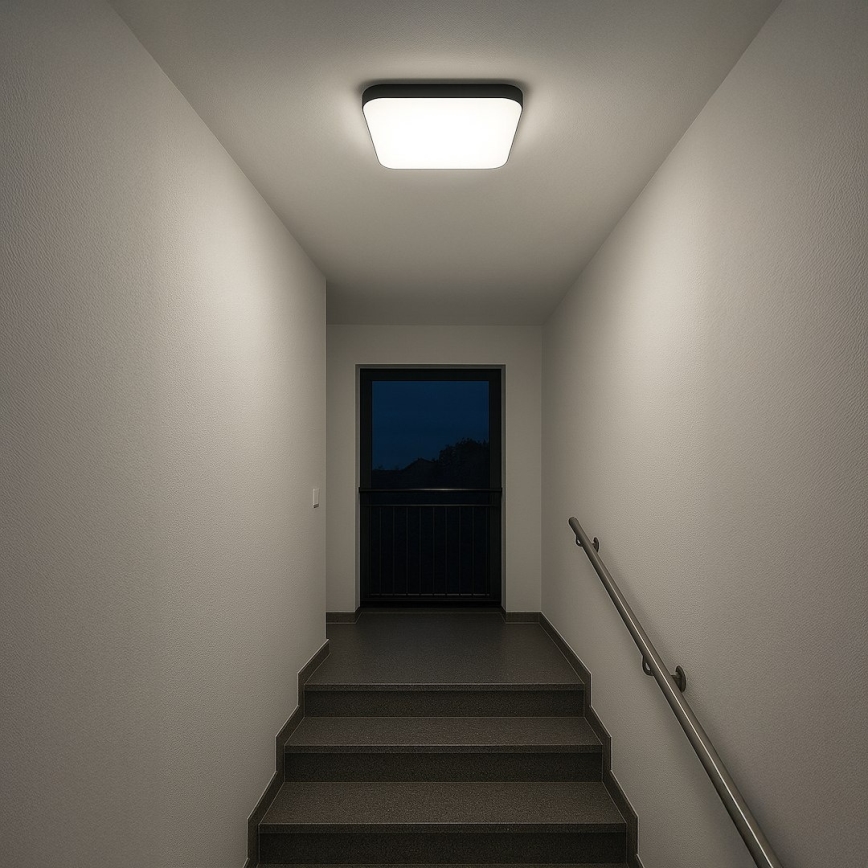 LED Stropní svítidlo NEMO LED/36W/230V 50x50 cm černá