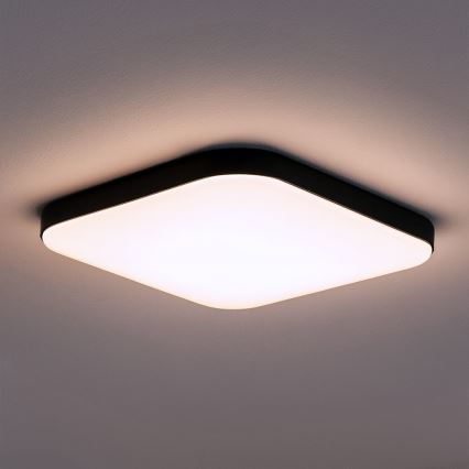 LED Stropní svítidlo NEMO LED/36W/230V 50x50 cm černá