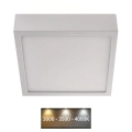 LED Stropní svítidlo NEXXO LED/12,5W/230V 3000/3500/4000K 17x17 cm bílá