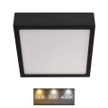 LED Stropní svítidlo NEXXO LED/12,5W/230V 3000/3500/4000K 17x17 cm černá