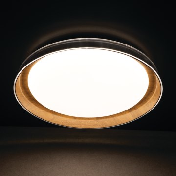 LED Stropní svítidlo NIFU LED/17,8W/230V pr. 43 cm bílá/hnědá