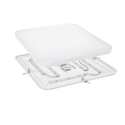 LED Stropní svítidlo NYMPHEA LED/36W/230V 4000K