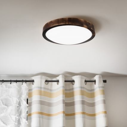 LED Stropní svítidlo OAK SLIM LED/20W/230V 4000K pr. 27 cm dub/tmavě hnědá