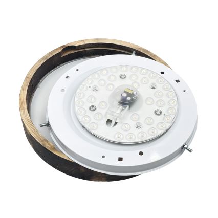 LED Stropní svítidlo OAK SLIM LED/20W/230V 4000K pr. 27 cm dub/tmavě hnědá