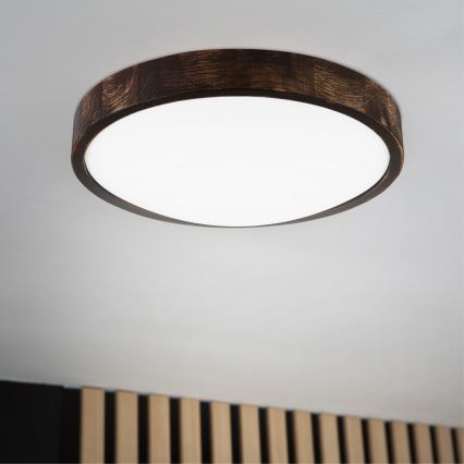 LED Stropní svítidlo OAK SLIM LED/36W/230V 4000K pr. 37 cm dub/tmavě hnědá