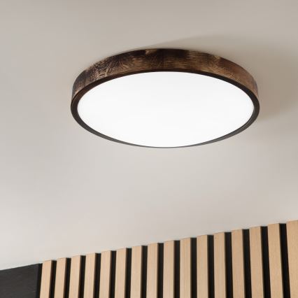 LED Stropní svítidlo OAK SMOKY SLIM LED/36W/230V 4000K pr. 47 cm dub/tmavě hnědá
