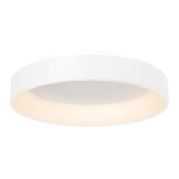 LED Stropní svítidlo OHIO 1xLED/24W/230V