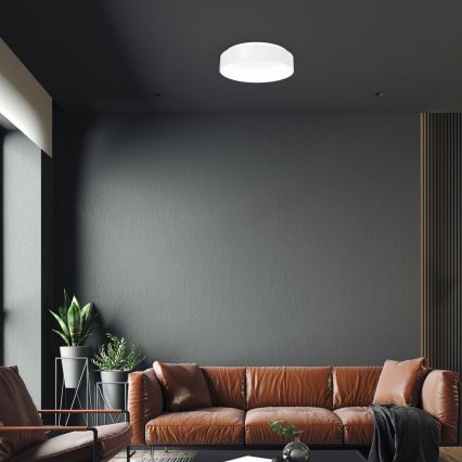 LED Stropní svítidlo OHIO 1xLED/24W/230V