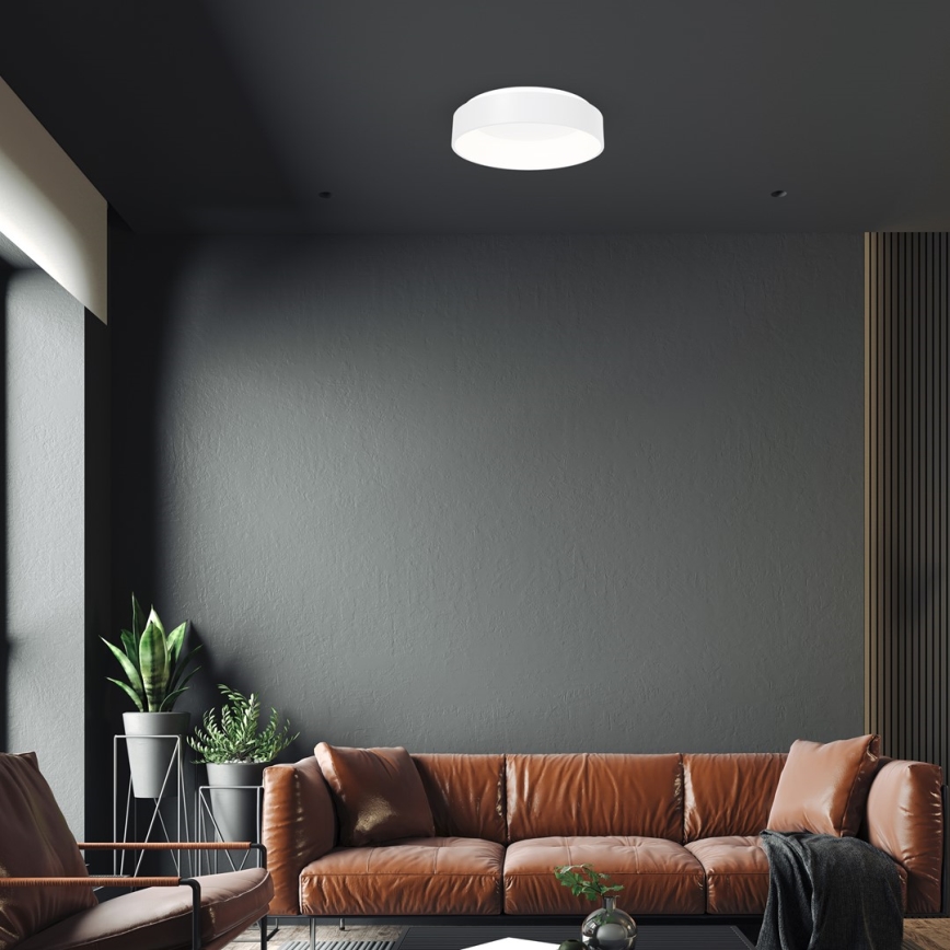 LED Stropní svítidlo OHIO 1xLED/24W/230V