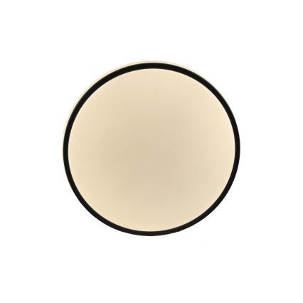 LED Stropní svítidlo ORBIT LED/15W/230V pr. 28 cm černá