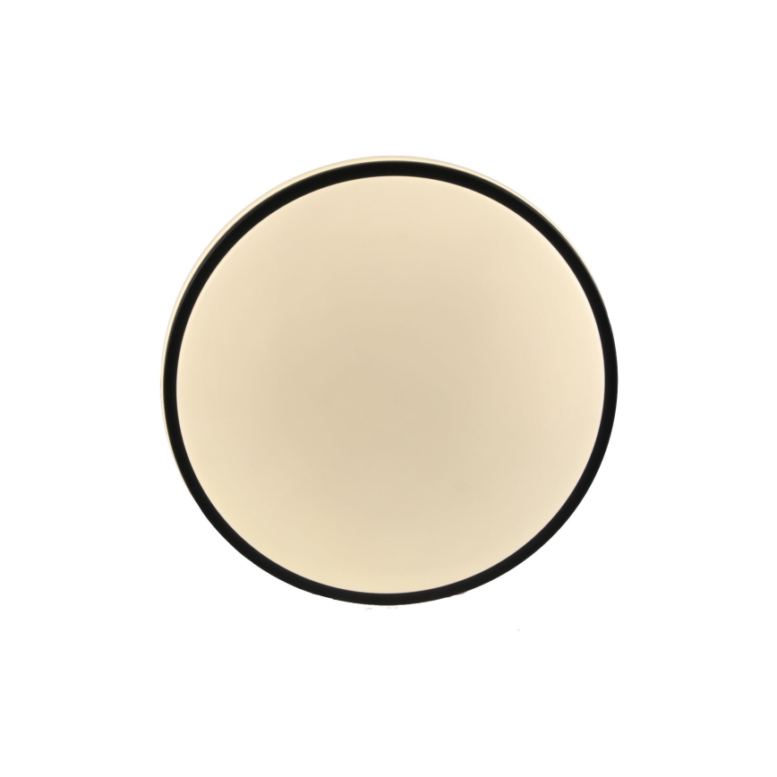 LED Stropní svítidlo ORBIT LED/15W/230V pr. 28 cm černá