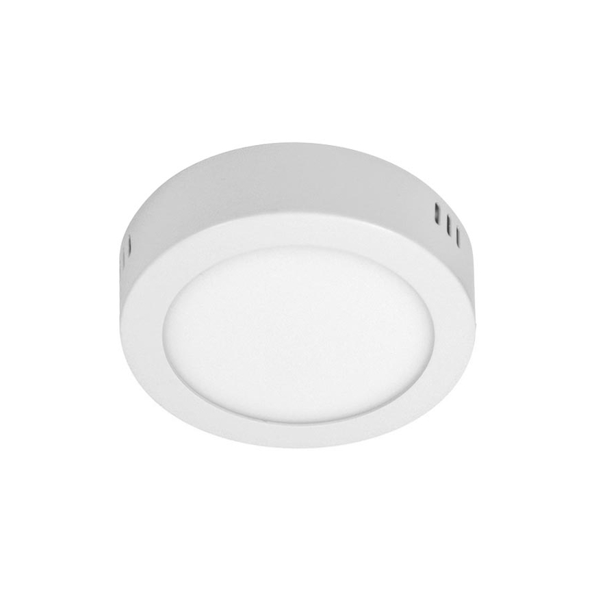 LED Stropní svítidlo ORTO NT 1xLED/6W/230V 4000K 11,3 cm