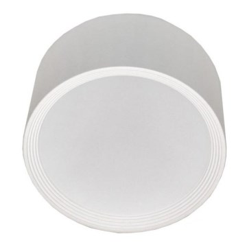 LED Stropní svítidlo OSRAM PERCI LED/20W/230V IP40 2700K bílá