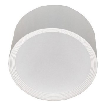 LED Stropní svítidlo PERCI LED/20W/230V IP40 4000K bílá