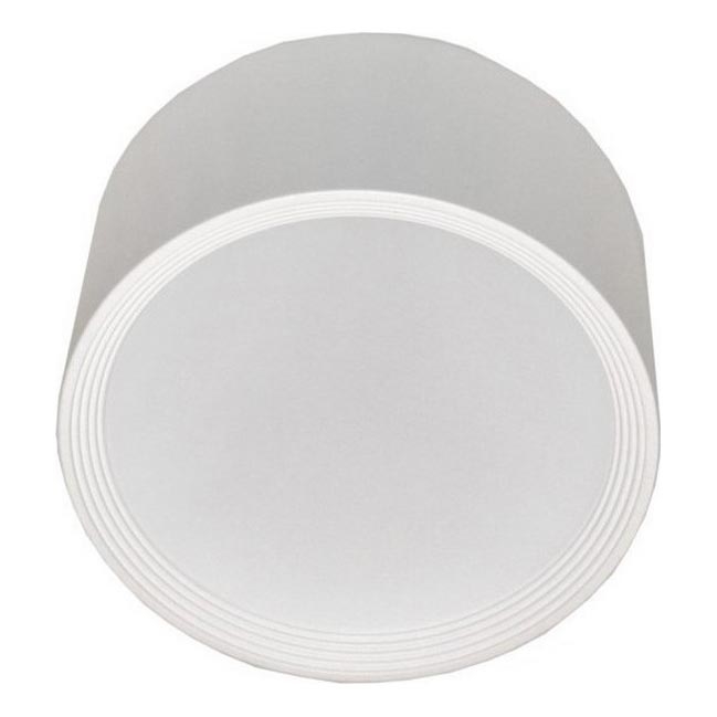 LED Stropní svítidlo PERCI LED/20W/230V IP40 4000K bílá