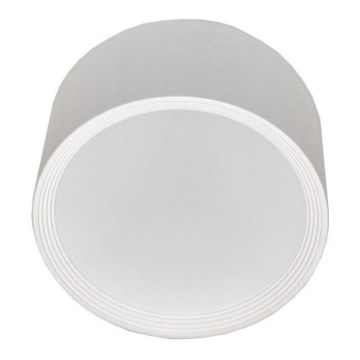LED Stropní svítidlo PERCI LED/30W/230V IP40 2700K bílá