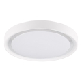 LED Stropní svítidlo PERSE LED/15W/230V bílá