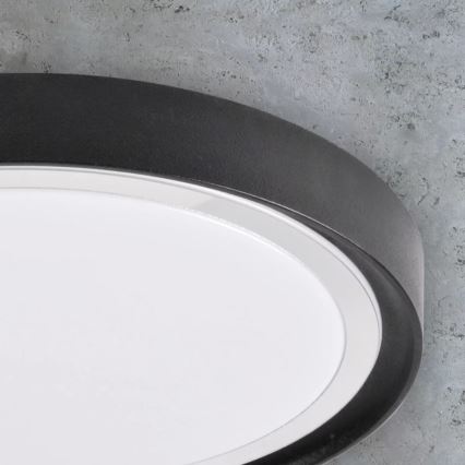 LED Stropní svítidlo PERSE LED/15W/230V černá