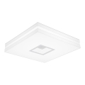 LED Stropní svítidlo PETY 800 LED/100W/230V