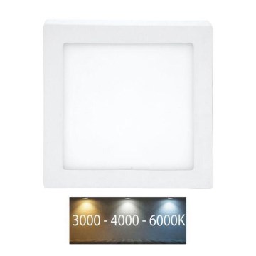 LED Stropní svítidlo RAFA LED/12W/230V 3000/4000/6000K 17x17 cm bílá